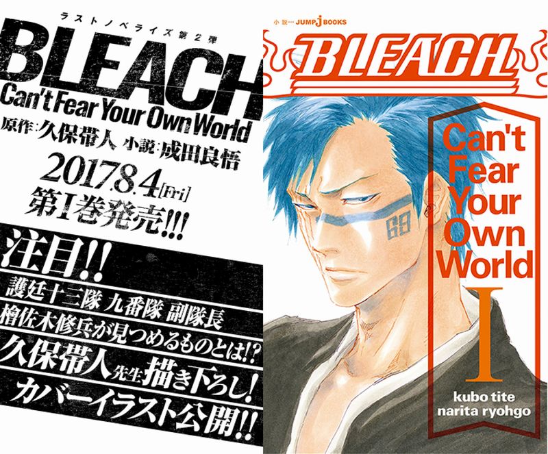 bleach novel 01.jpg